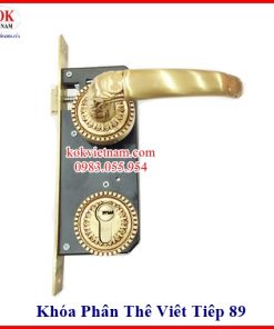 Khóa Phân Thể 4089VT