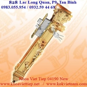 Khóa-Đại-Sảnh-Việt-Tiệp-04190New-Đồng