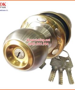 Khóa đấm tròn Cao Cấp Việt Tiệp 04212