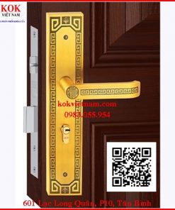 Khóa Cửa Chính Việt Tiệp 04938