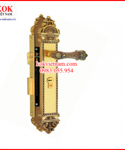 Khóa cửa phòng cao cấp Việt Tiệp 04279