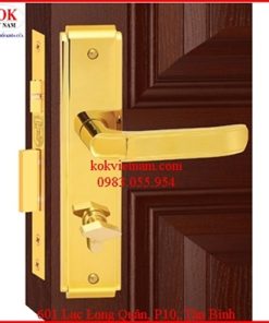 Khóa cửa phòng Việt Tiêp 04325