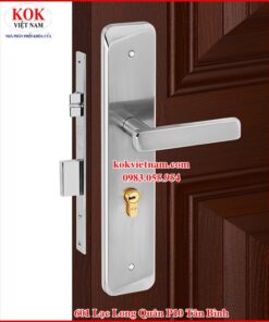 Khóa cửa Việt Tiệp 04932