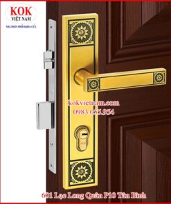 KHÓA CỬA ĐI VIỆT TIỆP 04945