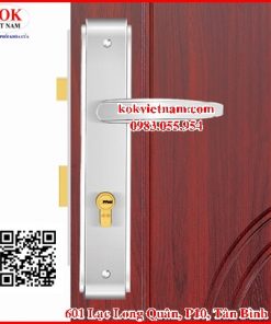 Khóa Thông phòng Việt Tiệp 4924